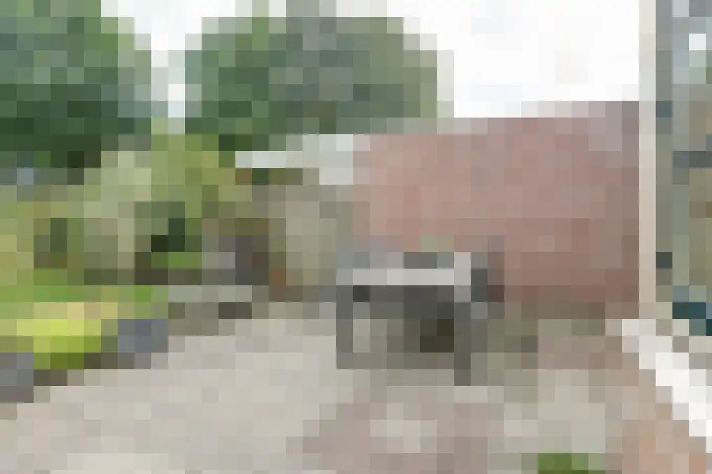 Tuin 42 Dongen thumbnail 34