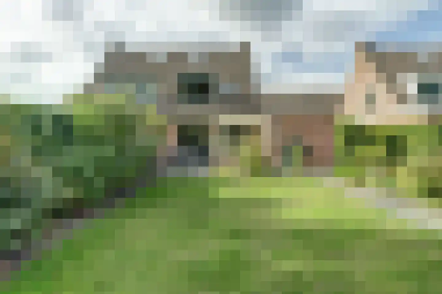 Tuin 42 Dongen thumbnail 38