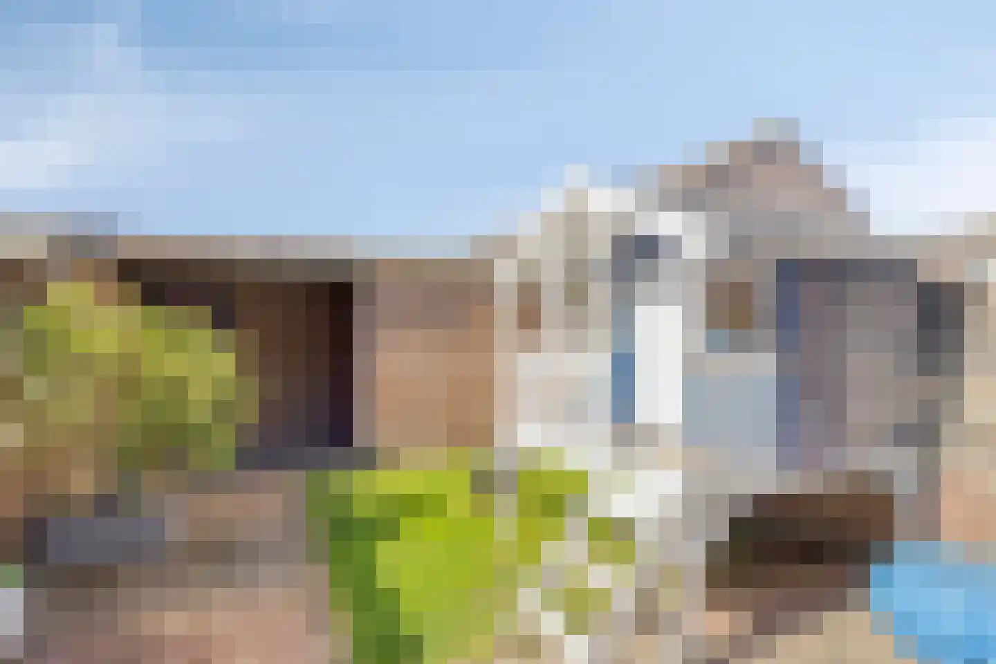 Tuin 9 Dongen thumbnail 40