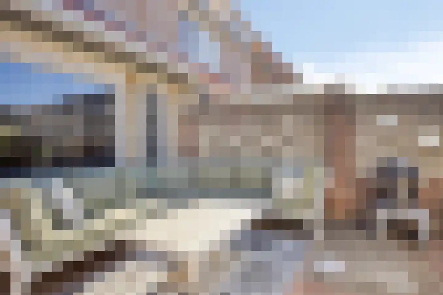 Tuin 9 Dongen thumbnail 42