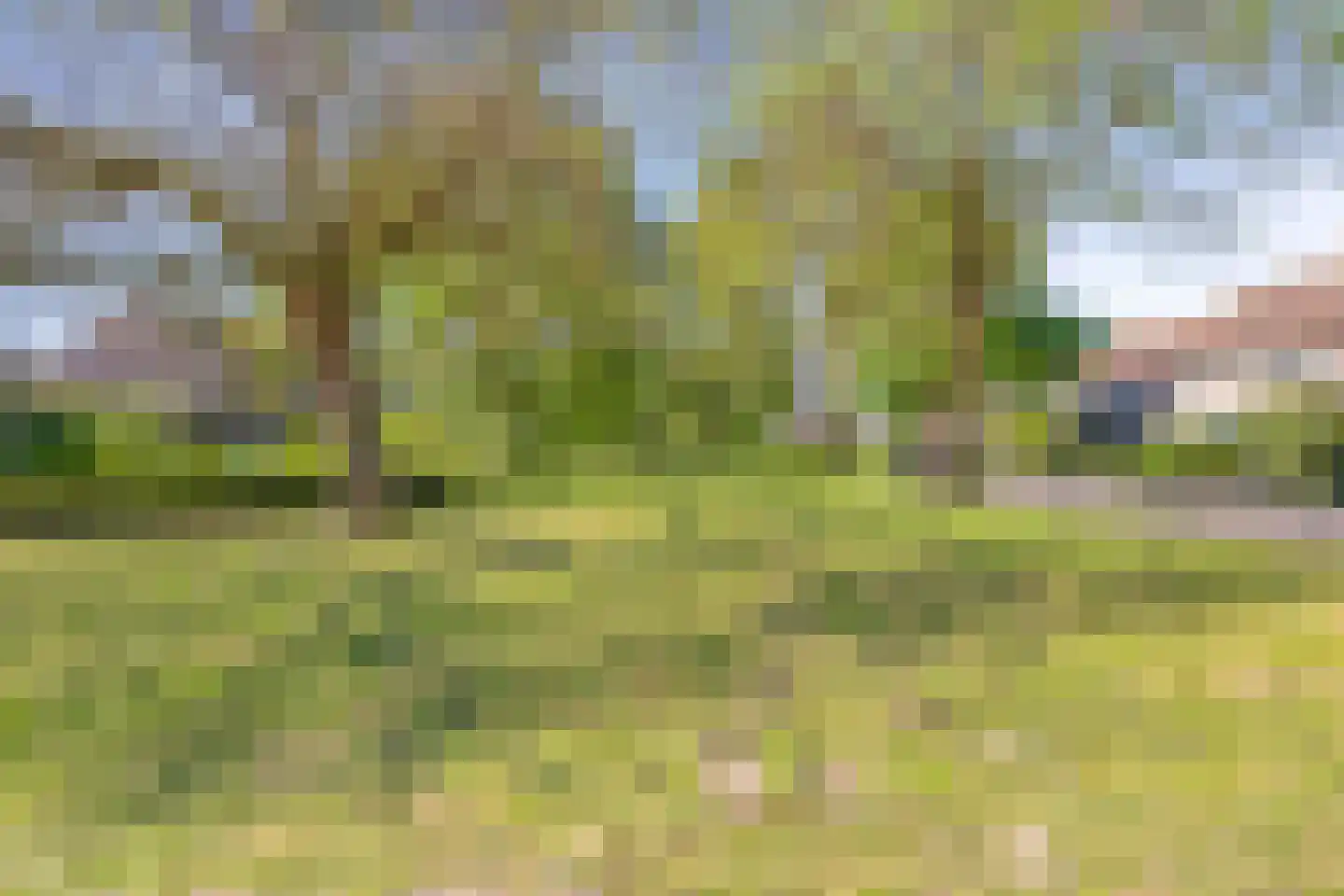 Tuin 9 Dongen thumbnail 47