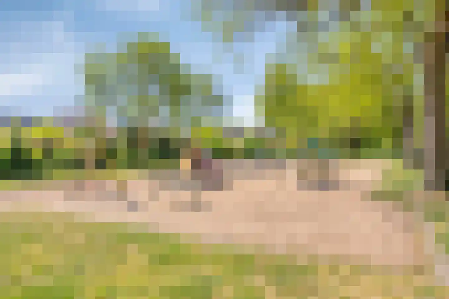 Tuin 9 Dongen thumbnail 48