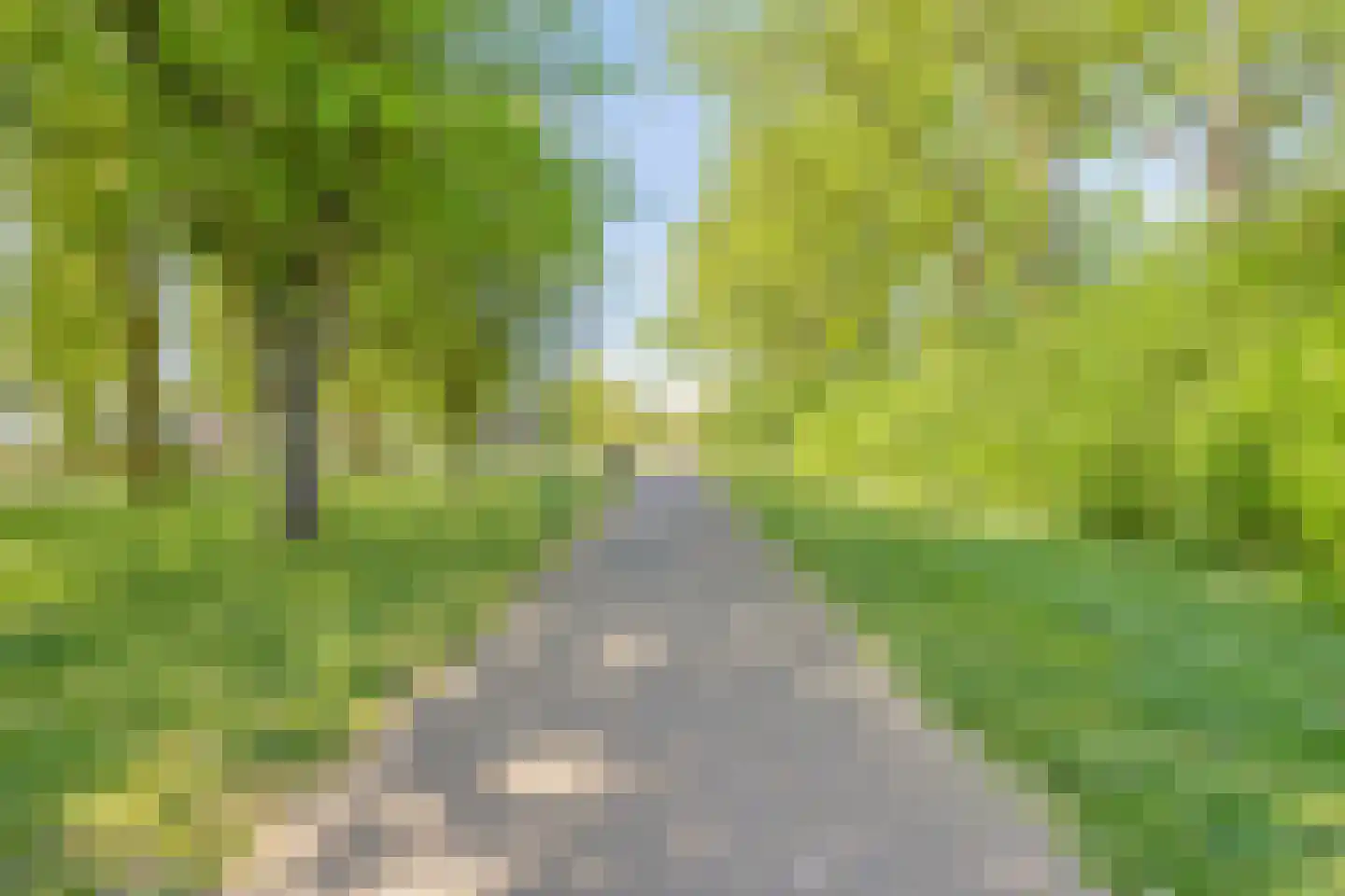 Tuin 9 Dongen thumbnail 50