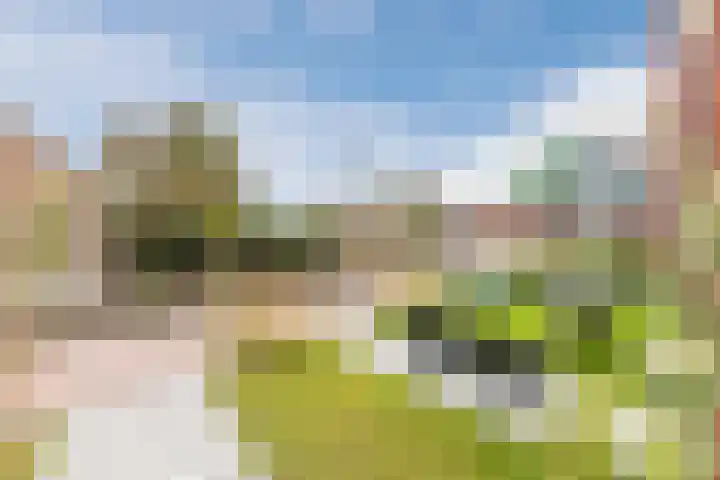 Tuin der Nederlanden 39 Zaandam thumbnail 10