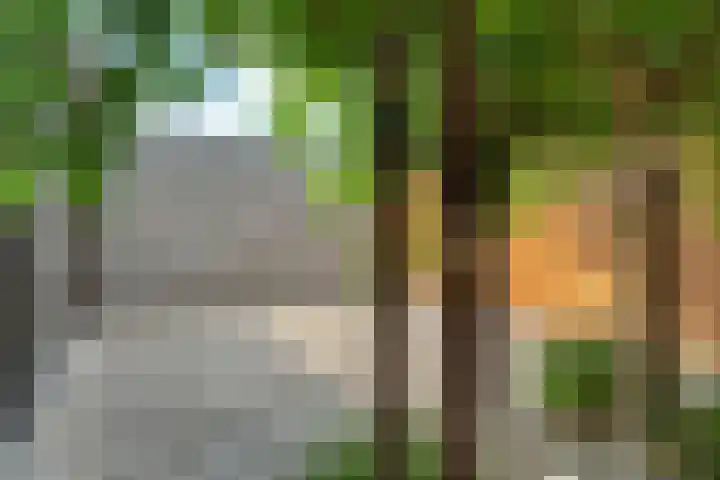 Tuin Ginneken 18 Breda thumbnail 25