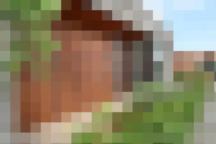 Tuin Ginneken 18 Breda thumbnail 26