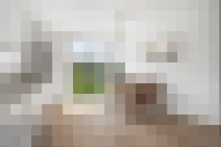 Tuin Ginneken 18 Breda thumbnail 9