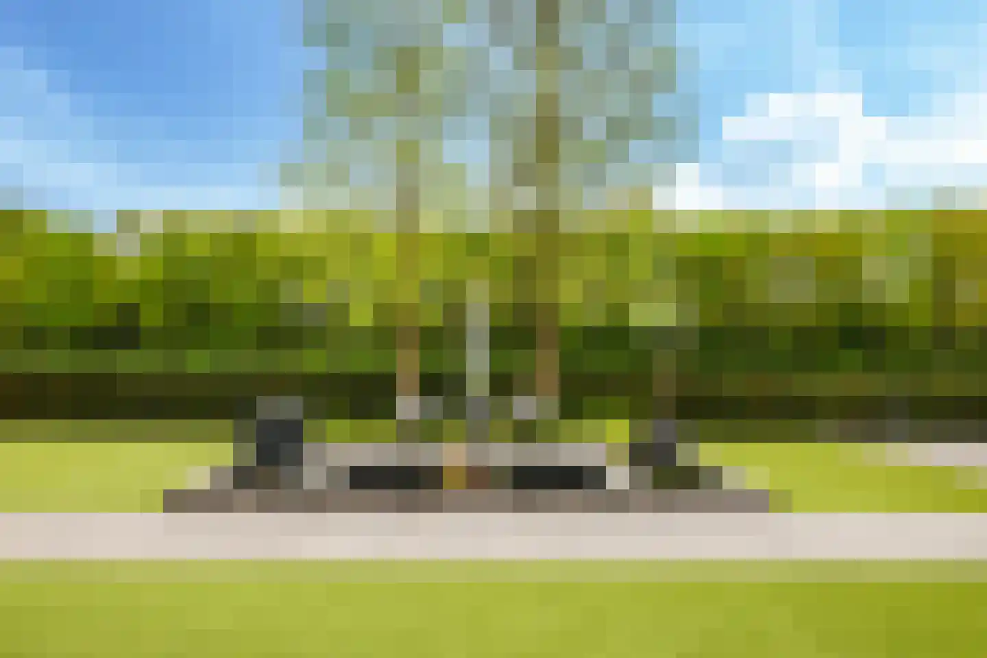 Tuin van de Burgemeester 34 Heteren thumbnail 68