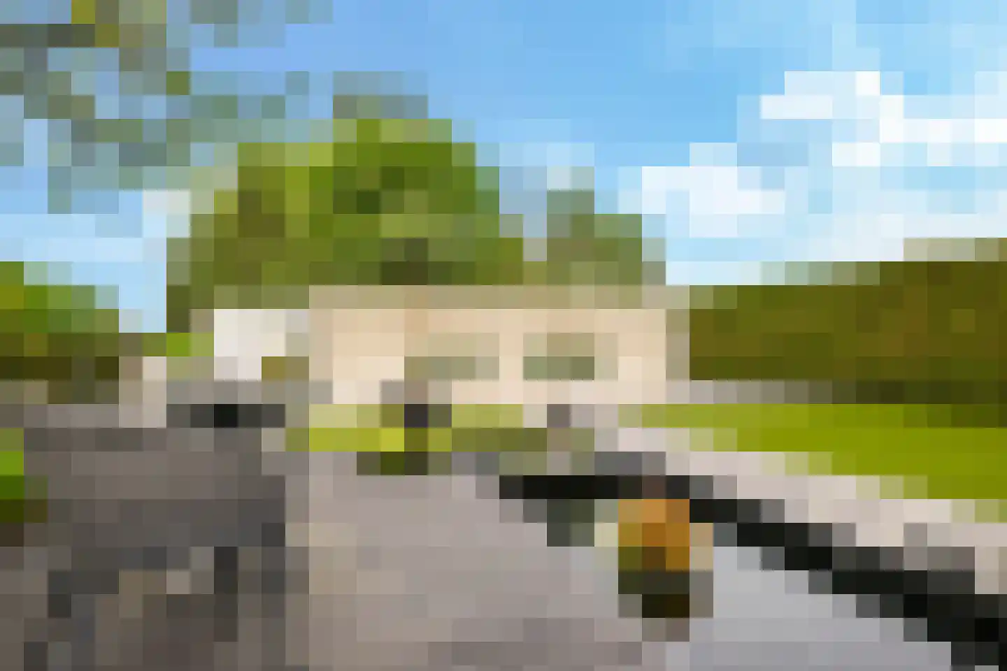 Tuin van de Burgemeester 34 Heteren thumbnail 74