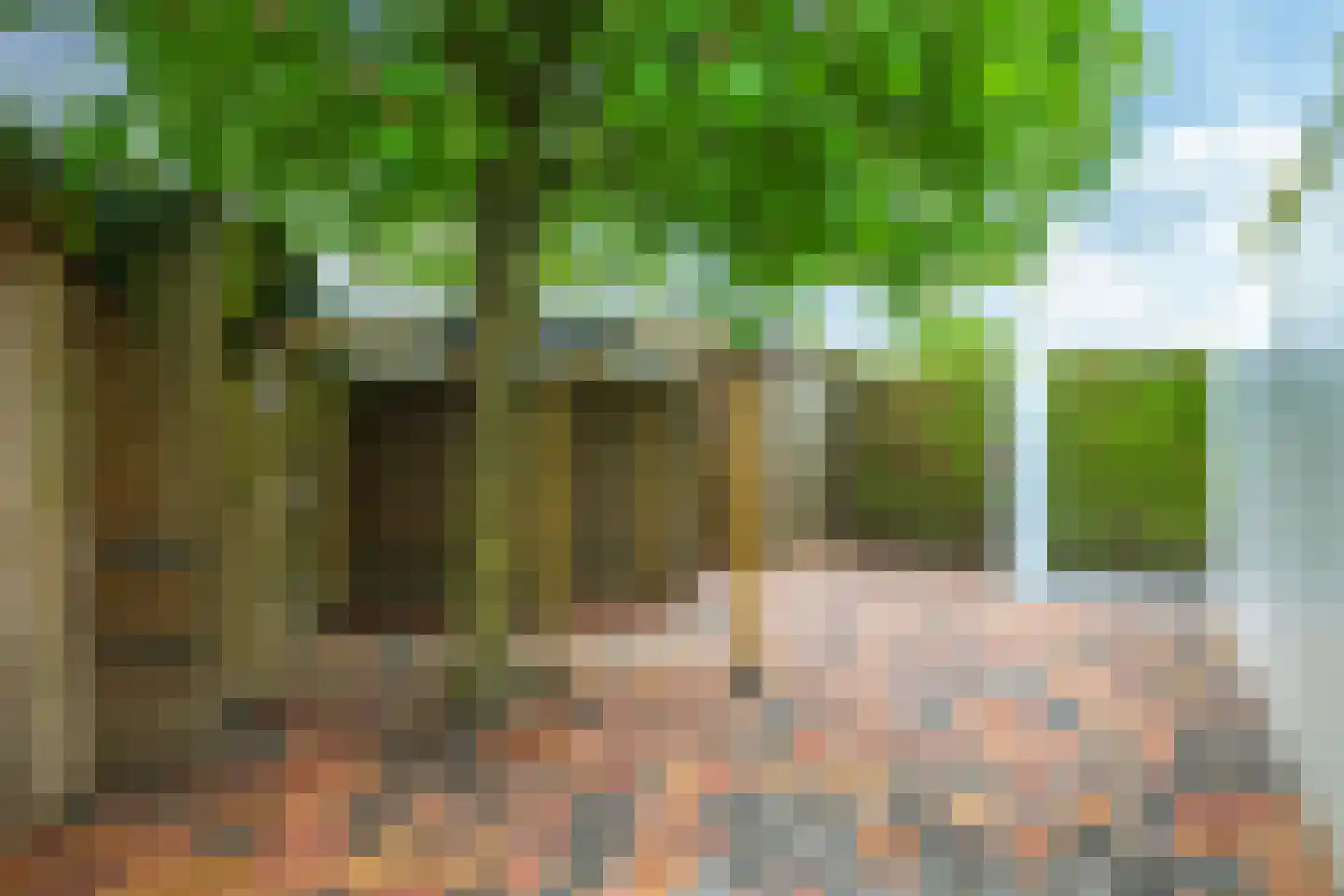 Tuin van de Burgemeester 34 Heteren thumbnail 85