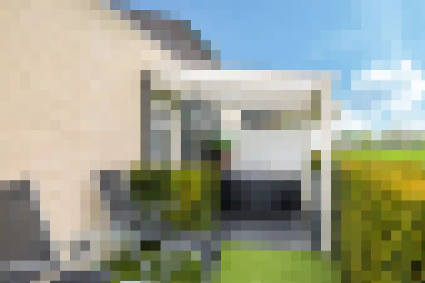 Tuin van de Burgemeester 34 Heteren thumbnail 98