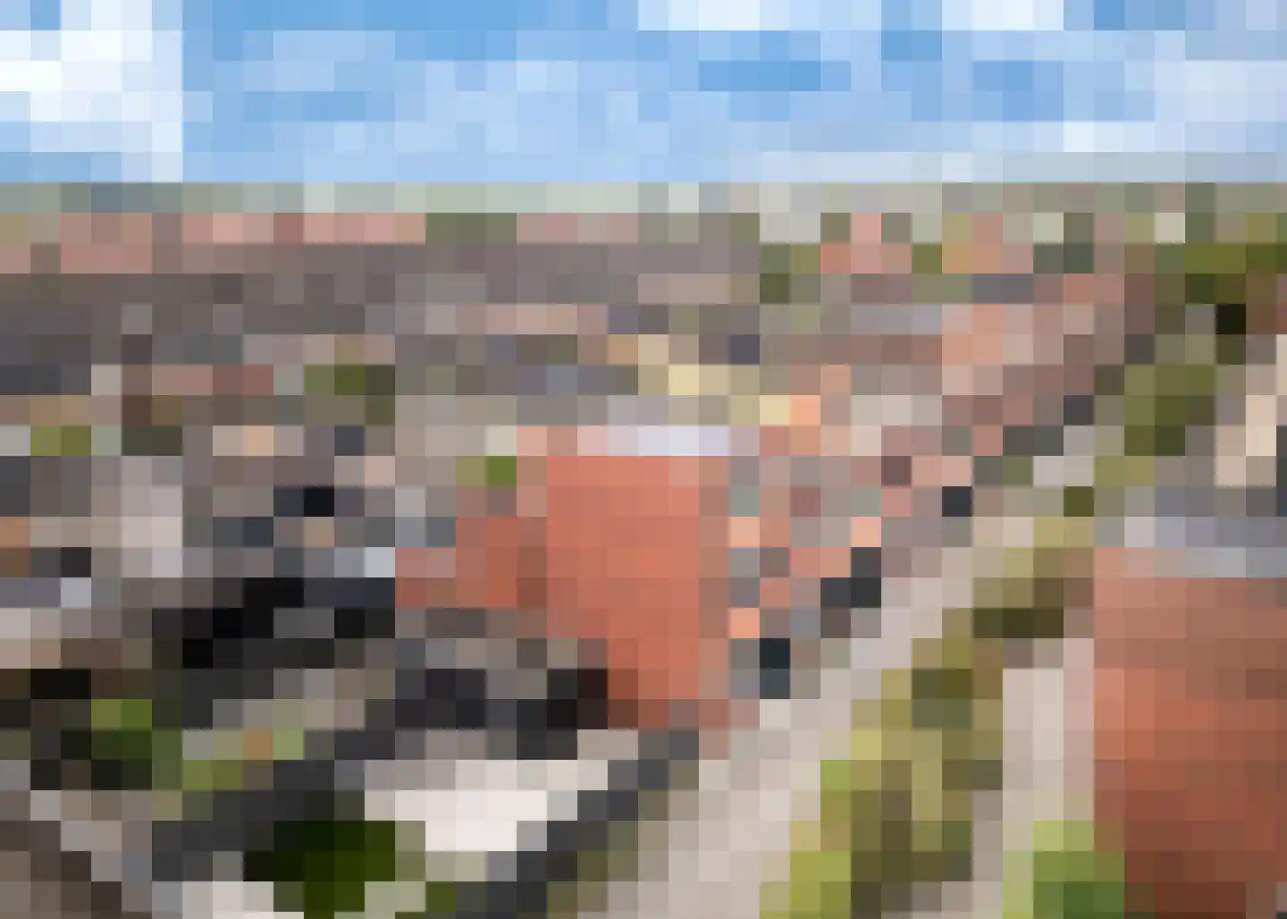 Tuin van Freyr 33 Heerhugowaard thumbnail 36
