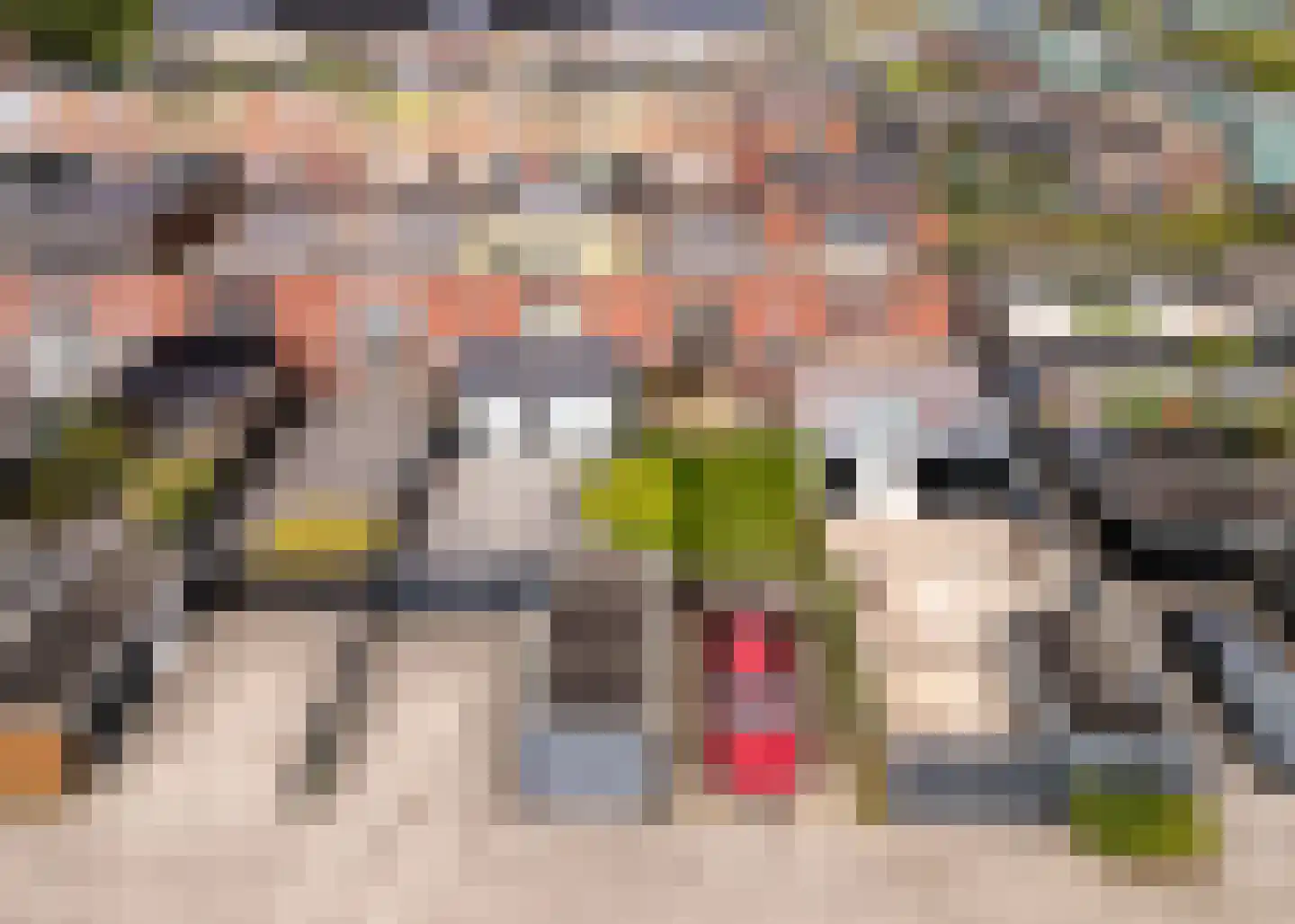 Tuin van Freyr 33 Heerhugowaard thumbnail 37