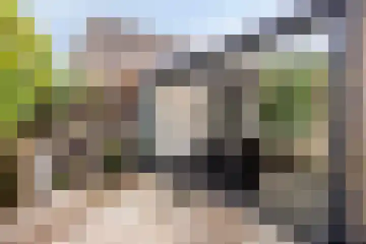 Tuin van Gerlagh 17 Hoeven thumbnail 26