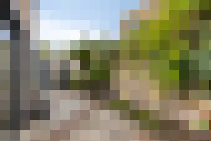 Tuin van Gerlagh 17 Hoeven thumbnail 27