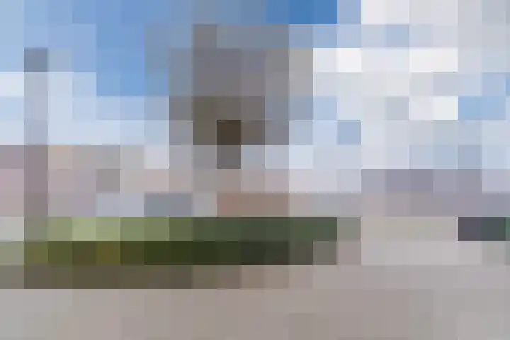 Tuin van Halo 17 Heerhugowaard thumbnail 38