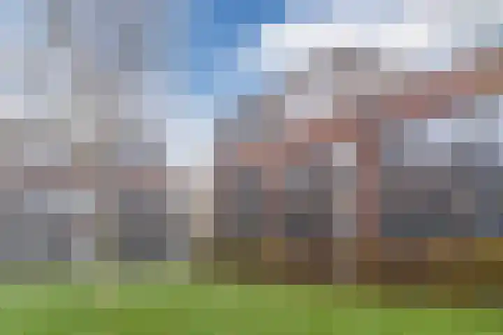 Tuin van Halo 17 Heerhugowaard thumbnail 41