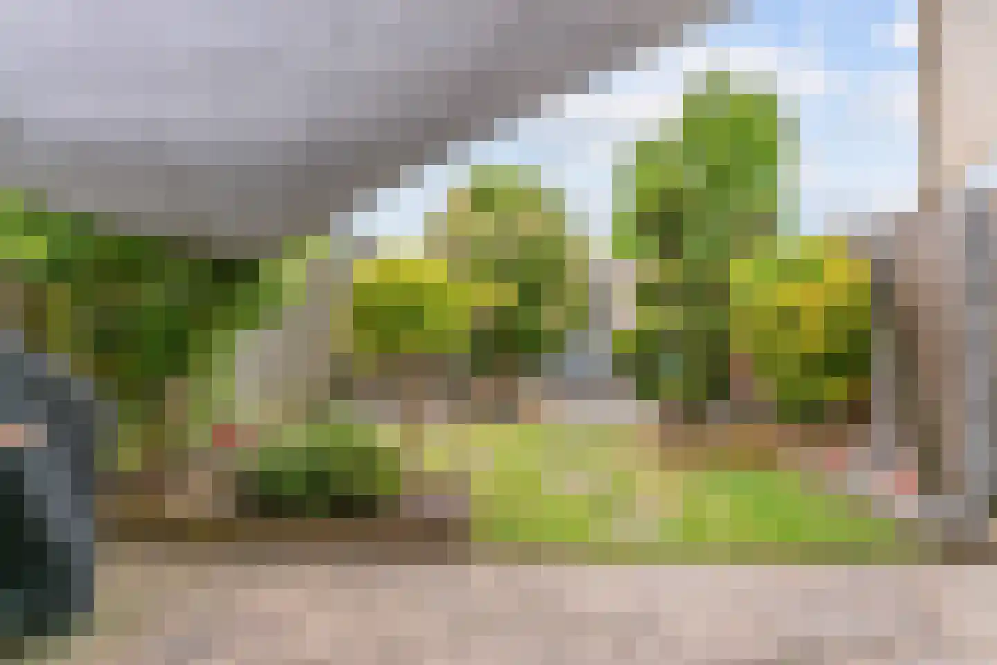 Tuin van Halo 27 Heerhugowaard thumbnail 33