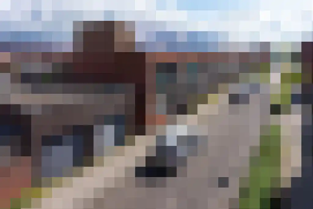 Tuin van Helium 24 Heerhugowaard thumbnail 29