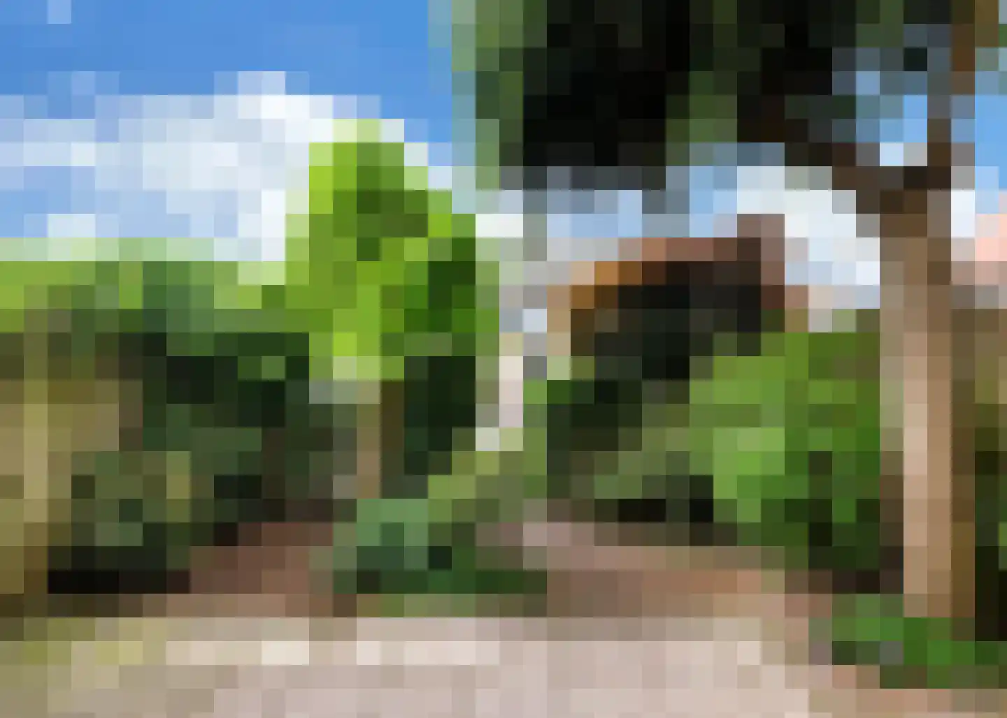 Tuin van Lugh 35 Heerhugowaard thumbnail 31