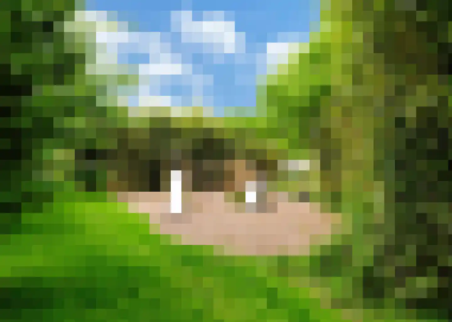 Tuin van Lugh 35 Heerhugowaard thumbnail 36
