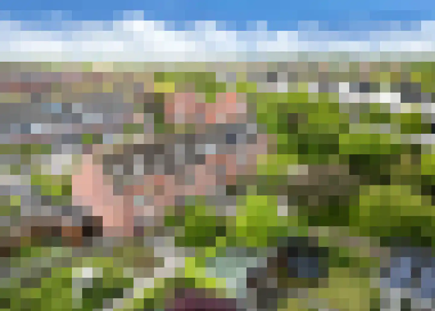 Tuin van Lugh 35 Heerhugowaard thumbnail 38