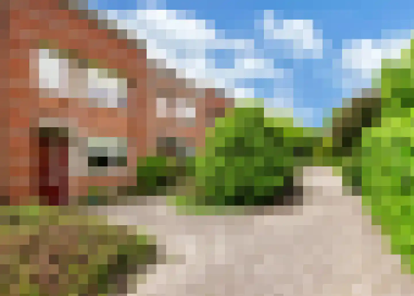 Tuin van Lugh 35 Heerhugowaard thumbnail 40