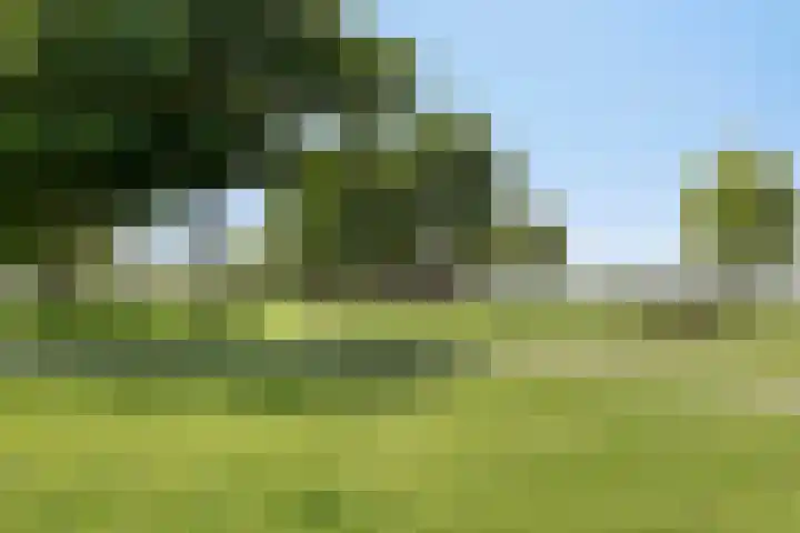 Tuin van Malina 1 Heerhugowaard thumbnail 44