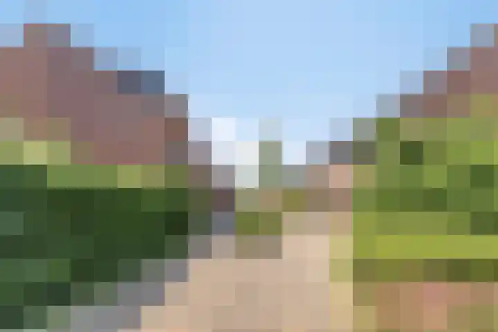 Tuin van Malina 1 Heerhugowaard thumbnail 7