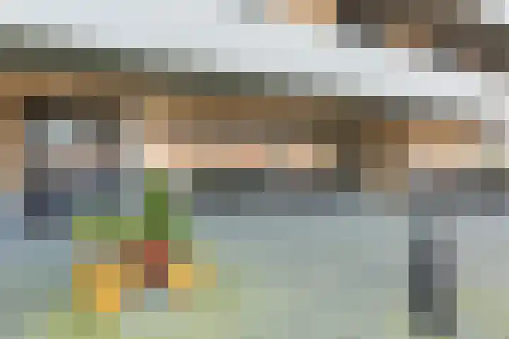 Tuin van Rembrandt 11 Bleiswijk thumbnail 7