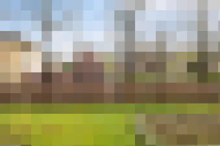 Tuin van Schellinger 12 Zeist thumbnail 25