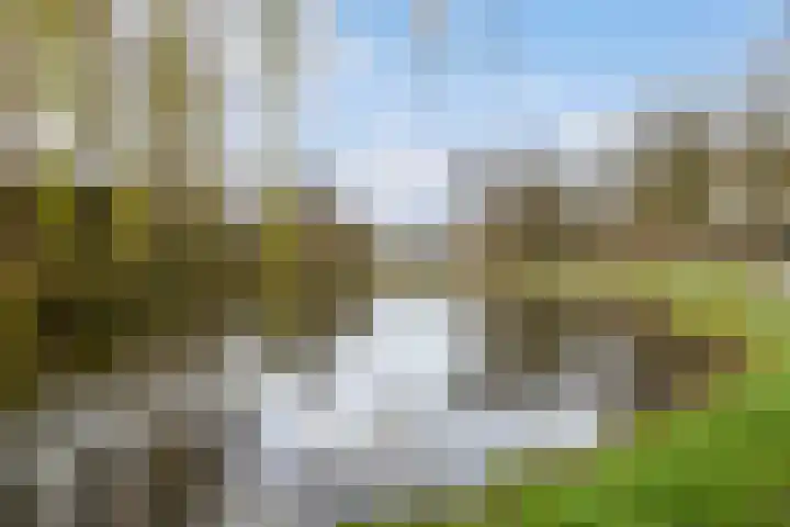 Tuin van Schellinger 12 Zeist thumbnail 37