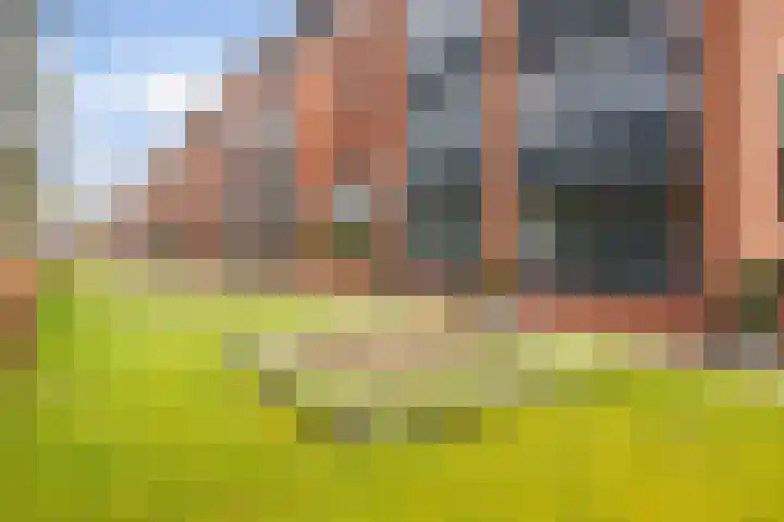 Tuin van Schellinger 12 Zeist thumbnail 6