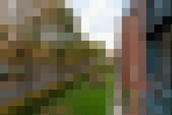 Tuin van Schellinger 22 Zeist thumbnail 27