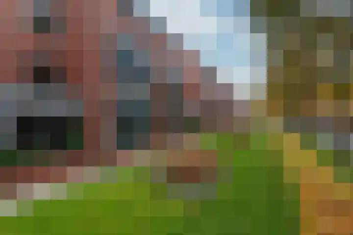 Tuin van Schellinger 22 Zeist thumbnail 41