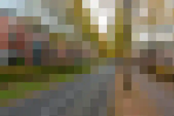 Tuin van Schellinger 22 Zeist thumbnail 6