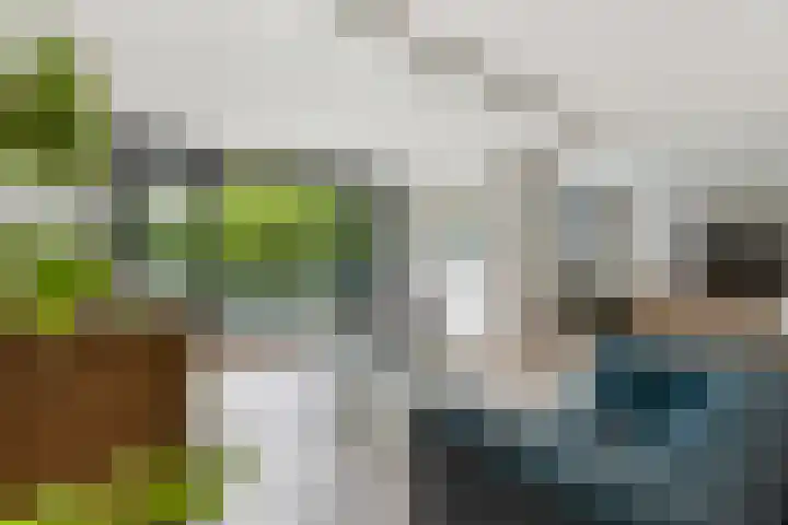 Tuin van Schellinger 42 Zeist thumbnail 12