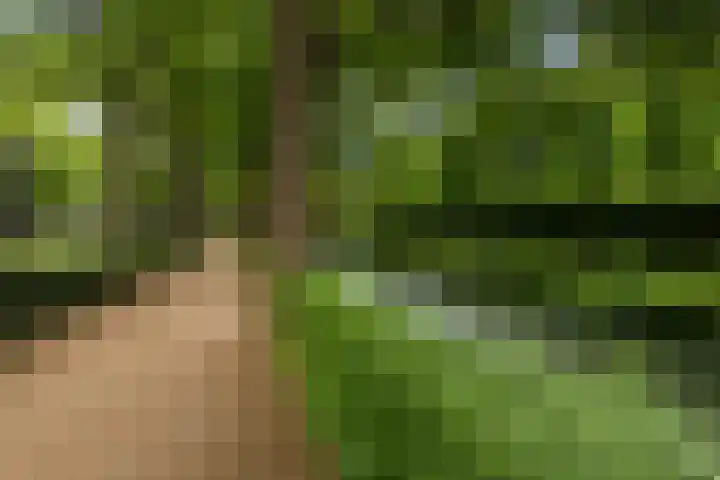 Tuin van Schellinger 42 Zeist thumbnail 41