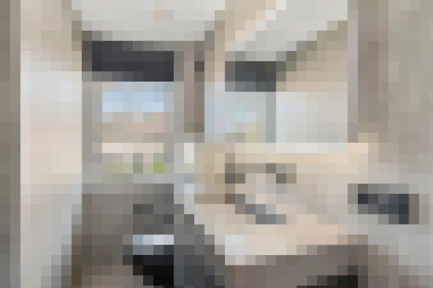 Tuinboog 13 Barneveld thumbnail 31