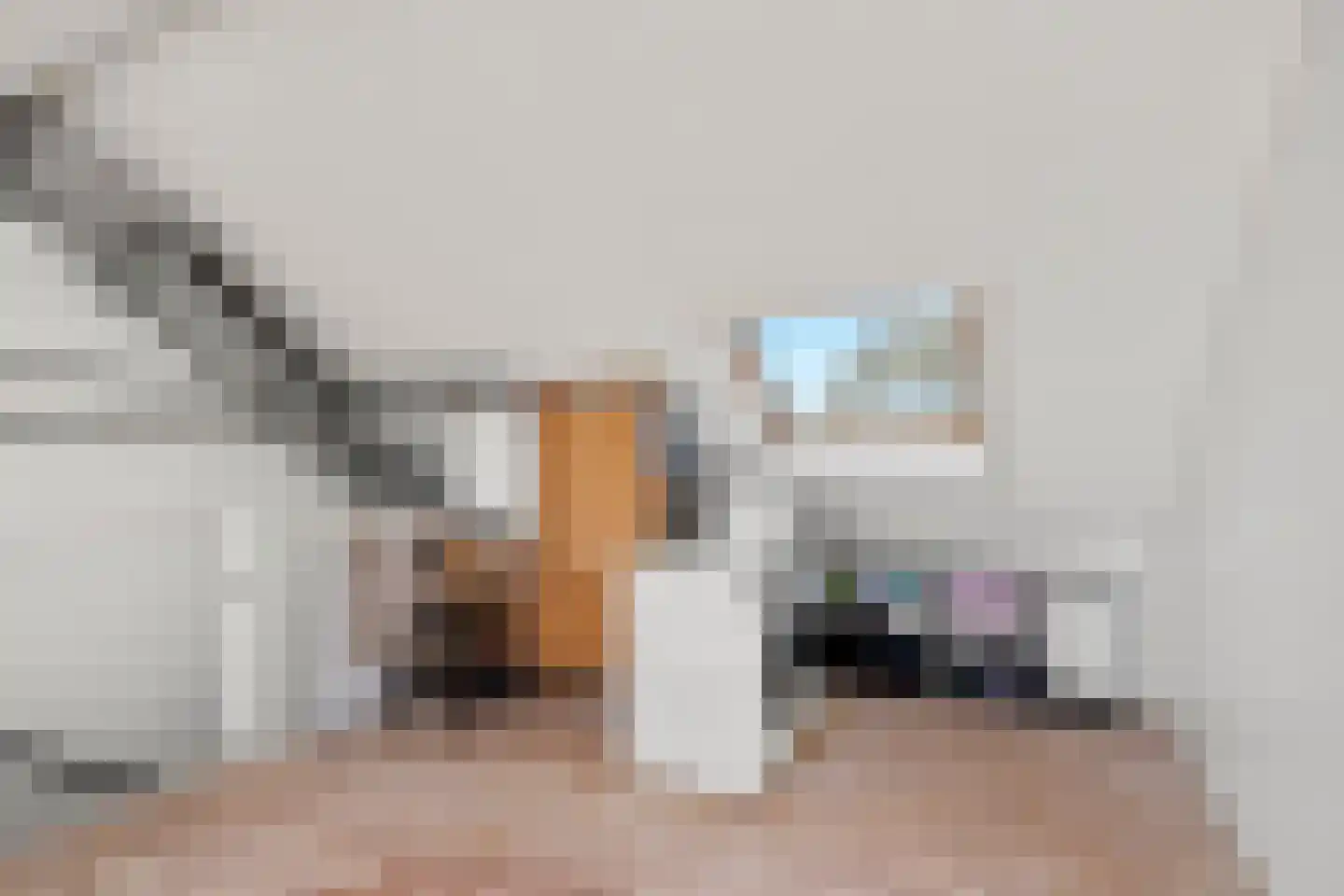 Tuinboog 13 Barneveld thumbnail 38