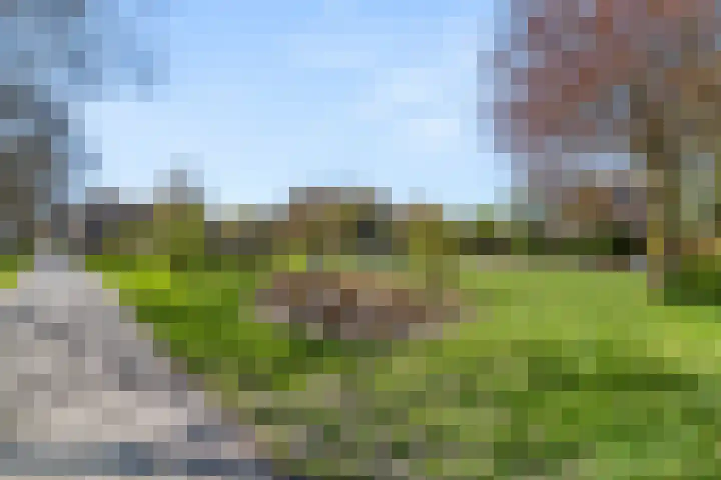 Tuinboog 13 Barneveld thumbnail 46