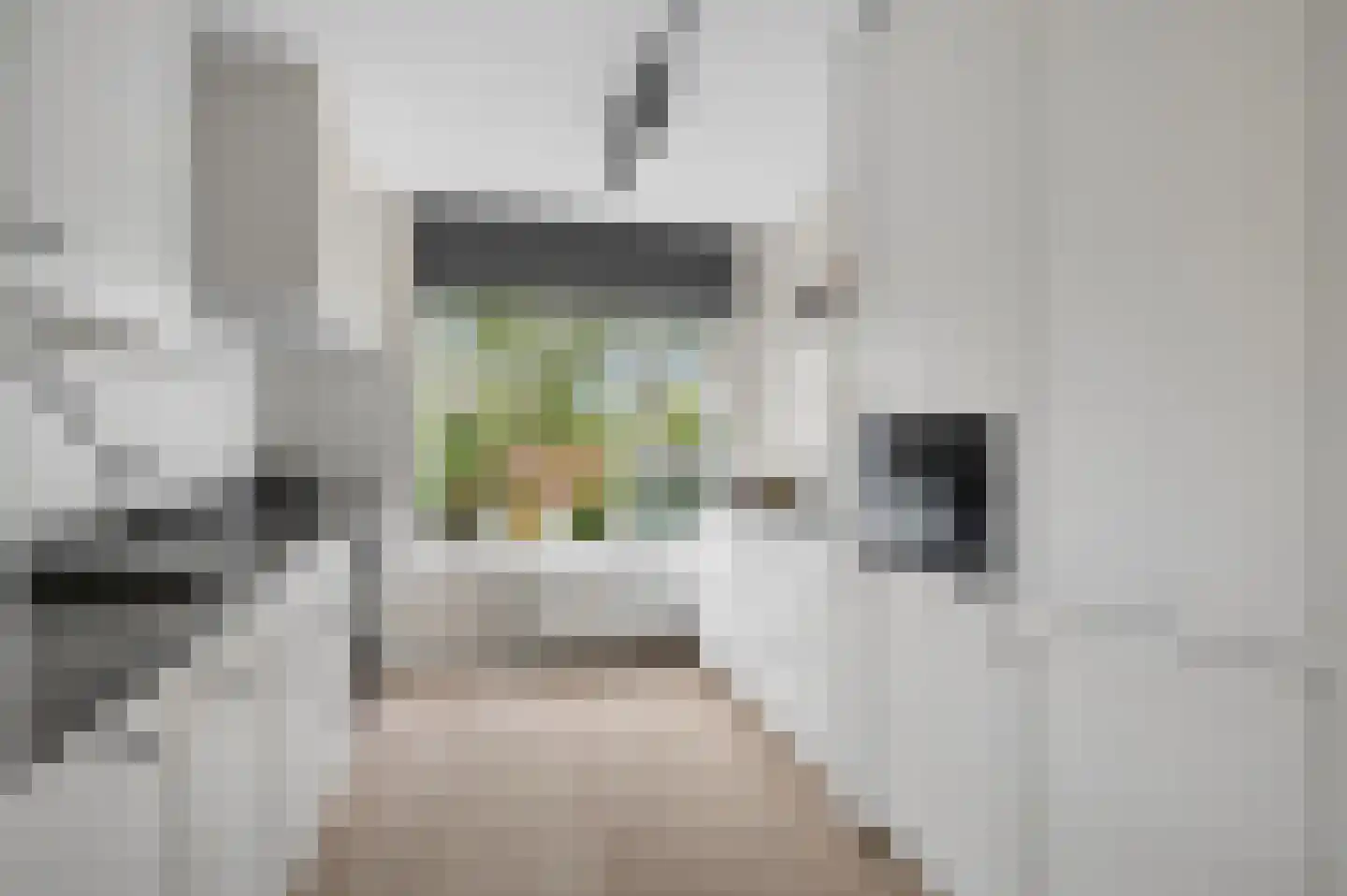 Tuinboog 2 Barneveld thumbnail 13
