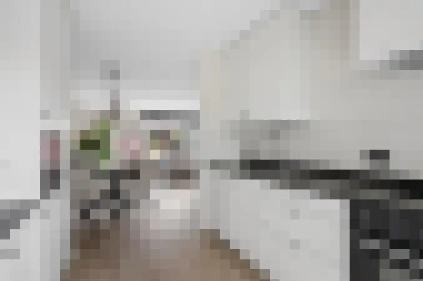 Tuinboog 2 Barneveld thumbnail 17