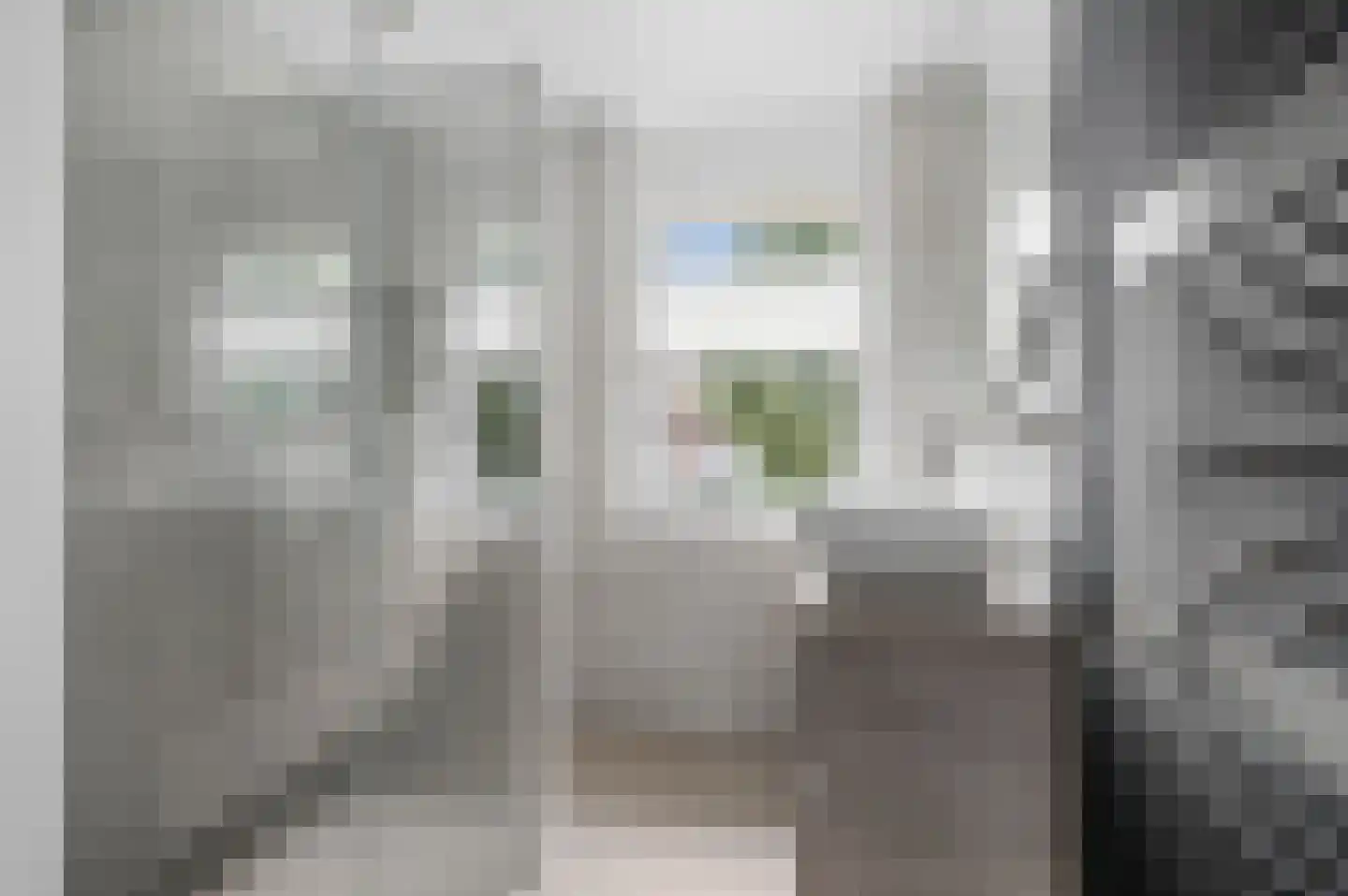 Tuinboog 2 Barneveld thumbnail 26
