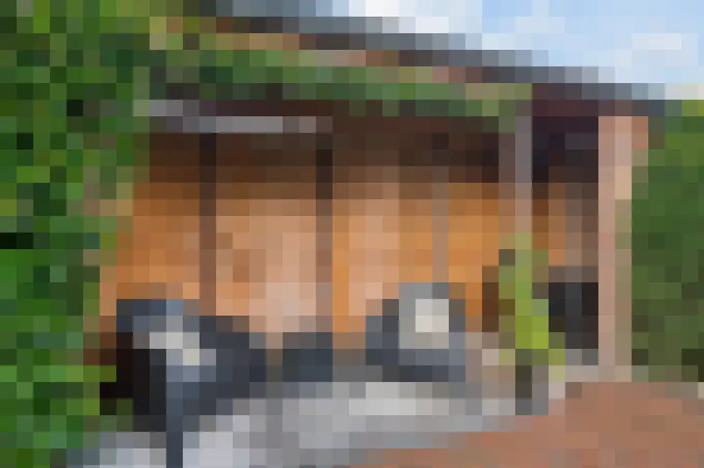 Tuinboog 2 Barneveld thumbnail 41