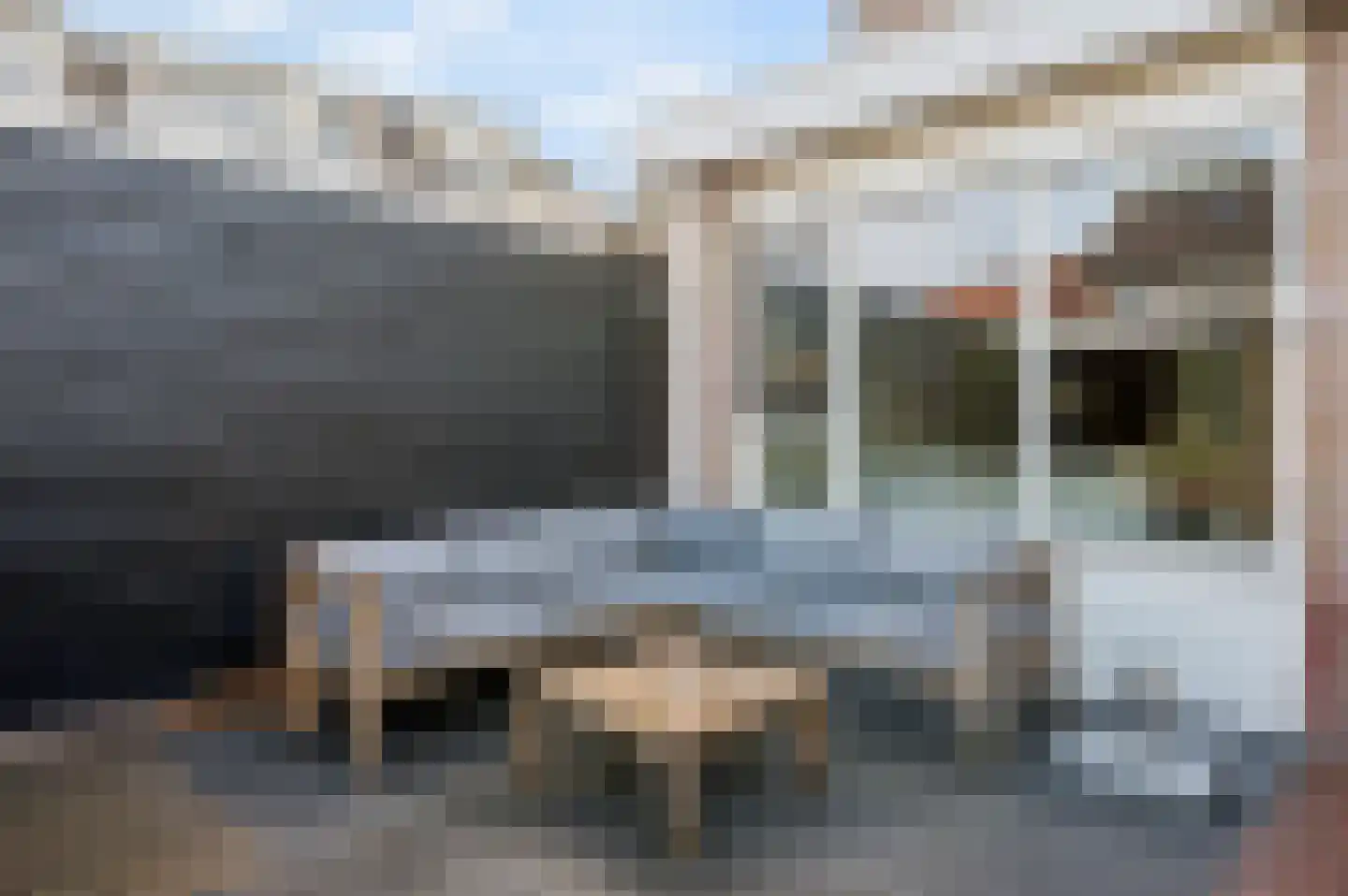 Tuinboog 2 Barneveld thumbnail 43