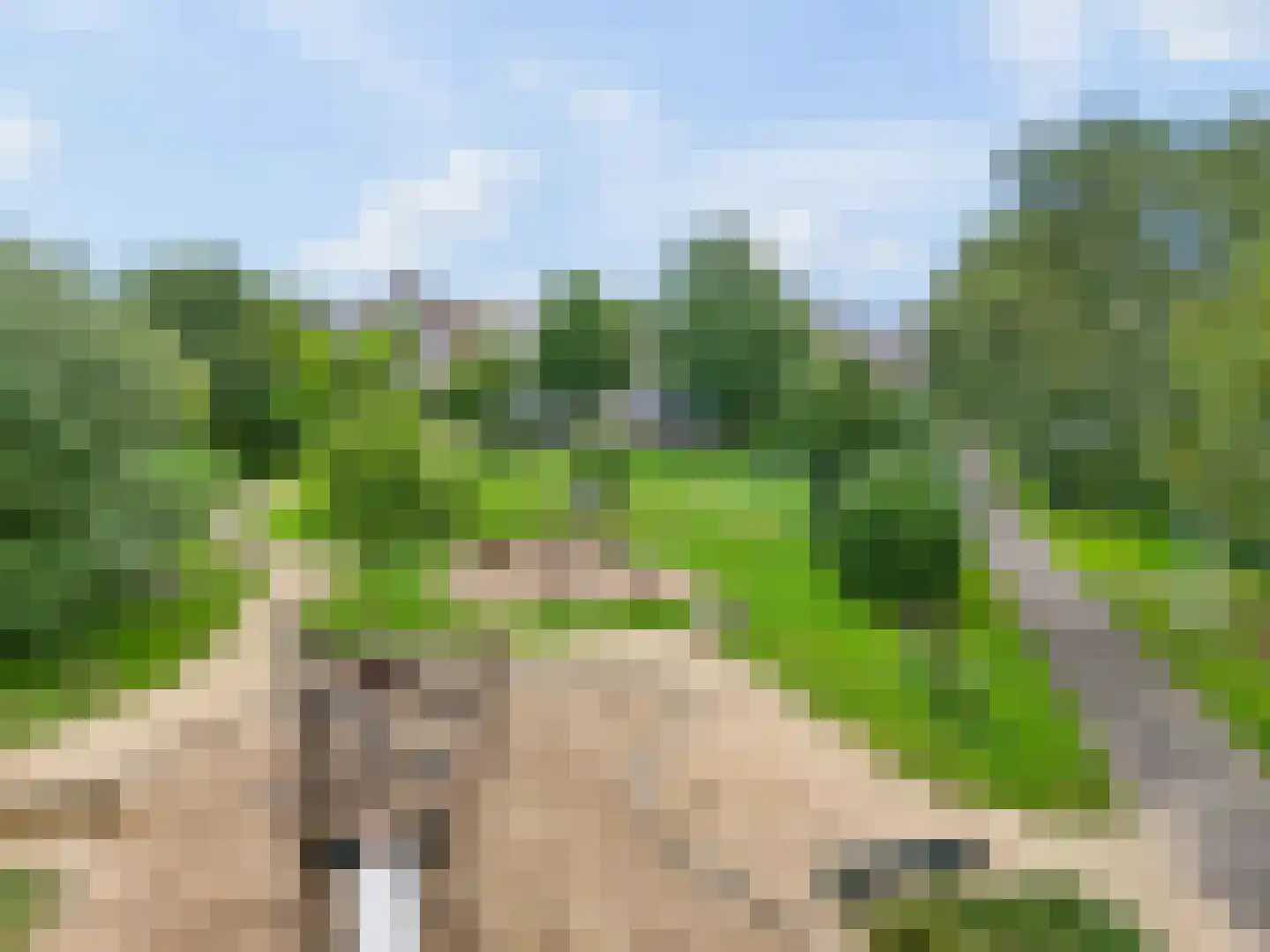 Tuinboog 2 Barneveld thumbnail 48
