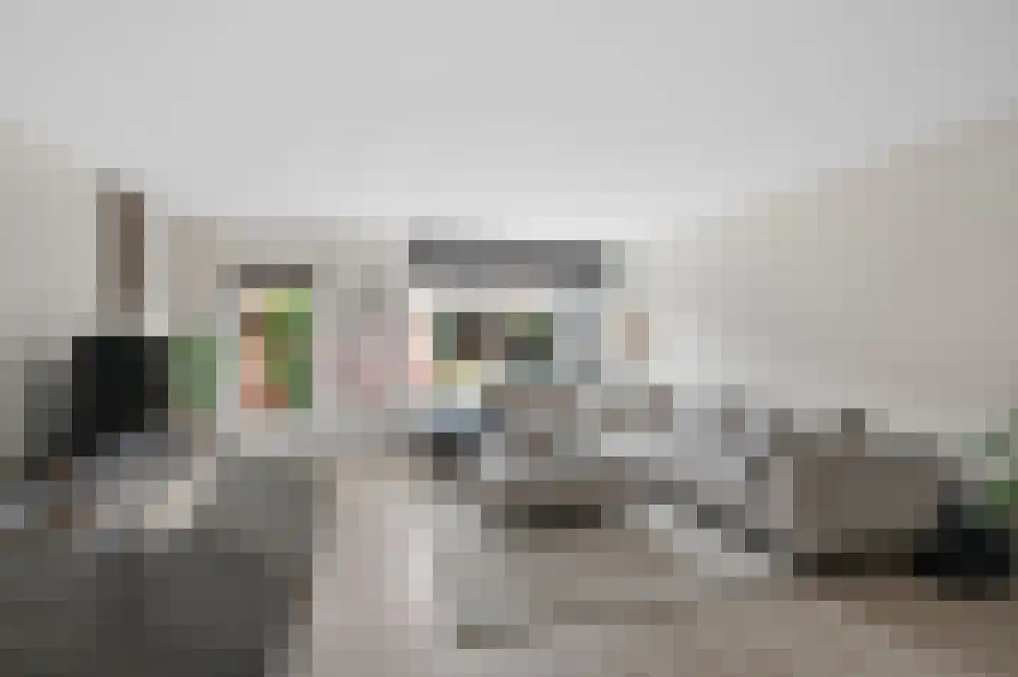 Tuinboog 2 Barneveld thumbnail 8