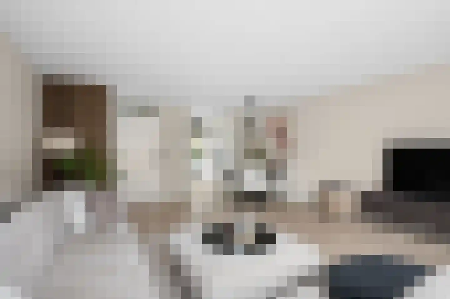 Tuinboog 2 Barneveld thumbnail 9