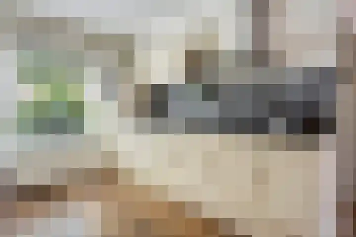 Tuinboog 20 Barneveld thumbnail 10